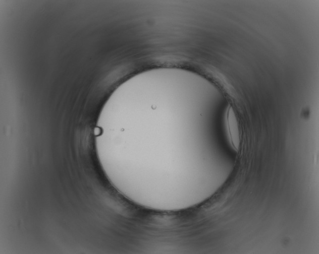 X0000094170071200711241539