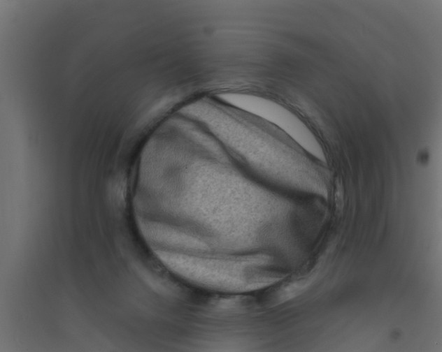 X0000094170072200711241539
