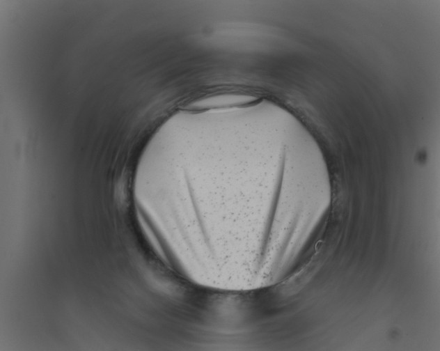 X0000094170074200711241539