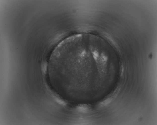 X0000094170076200711241539