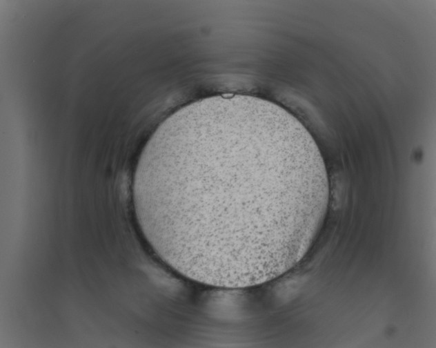 X0000094170077200711241539