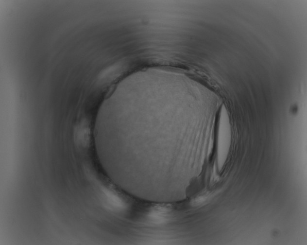 X0000094170080200711241540