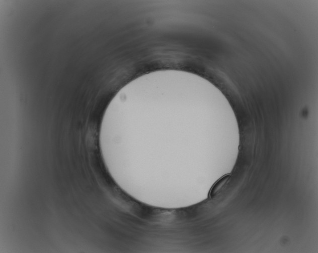 X0000094170083200711241540