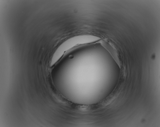 X0000094170088200711241540