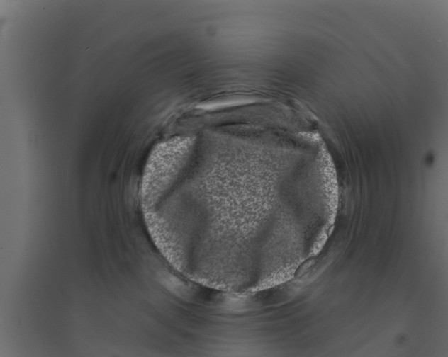 X0000094170093200711241540