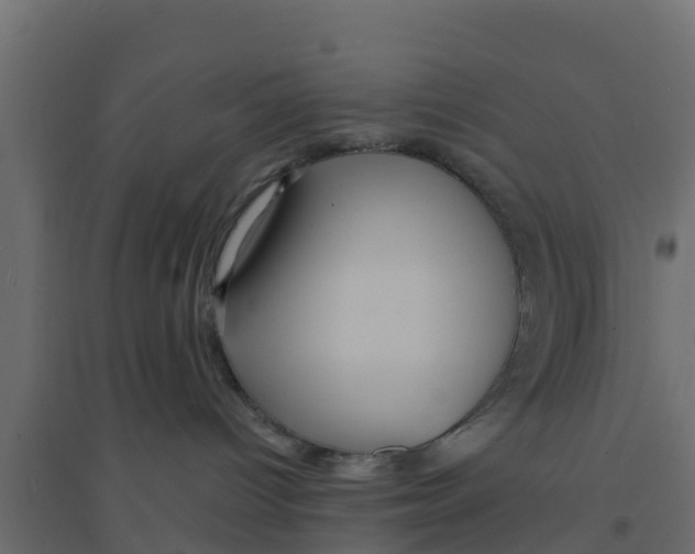 X0000094170096200711241540