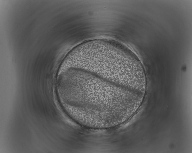 X0000094170097200711241539