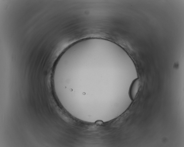 X0000094170098200711241539