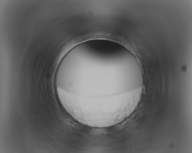 X0000094170099200711241539
