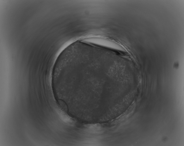 X0000094170100200711241539