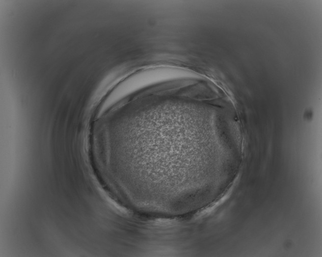 X0000094170101200711241539