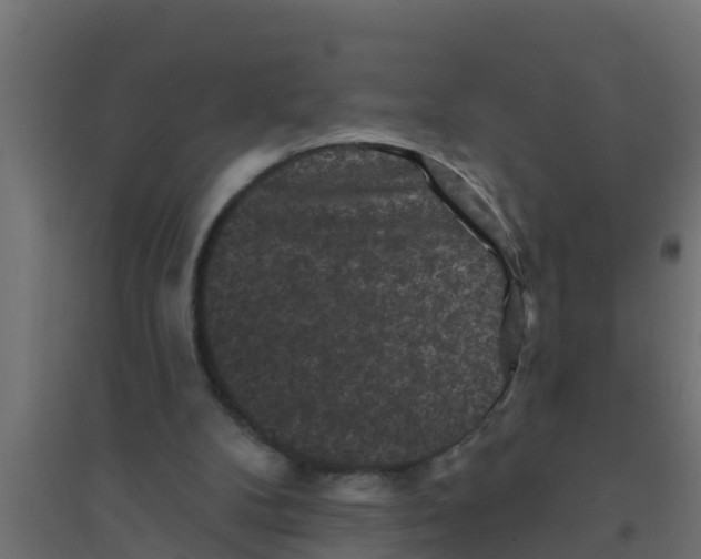 X0000094170104200711241539