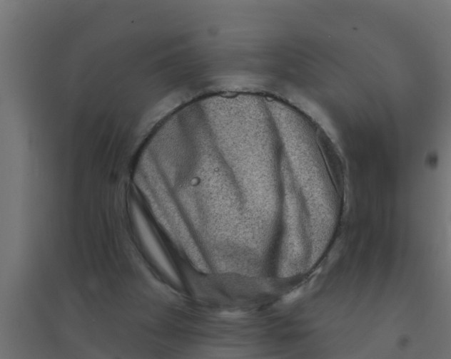 X0000094170105200711241539