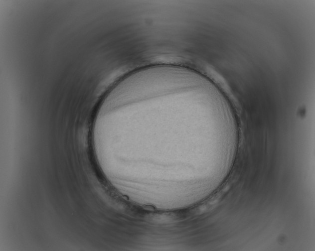 X0000094170106200711241539