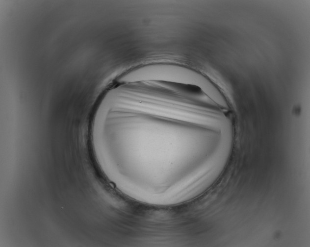 X0000094170107200711241539
