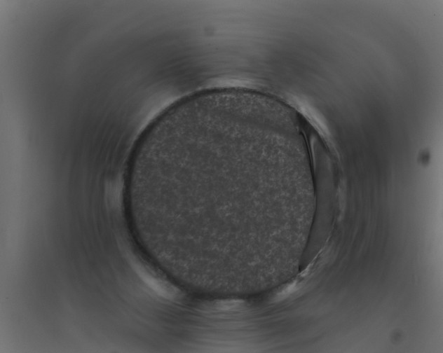 X0000094170108200711241539