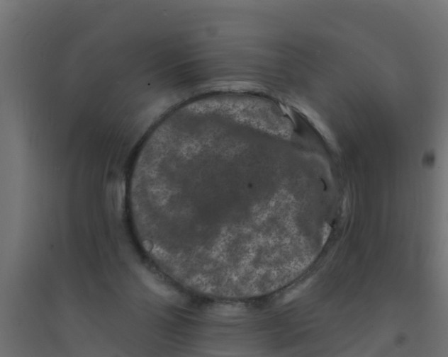 X0000094170110200711241539