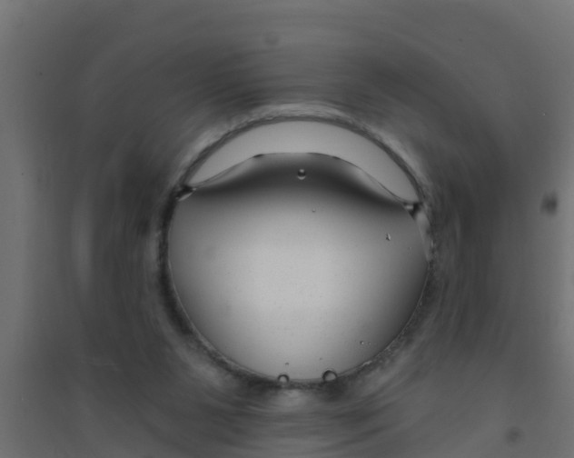 X0000094170111200711241539