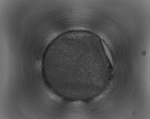 X0000094170112200711241539