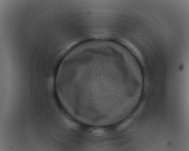 X0000094170113200711241539