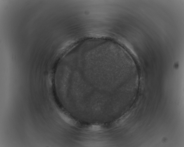 X0000094170114200711241539