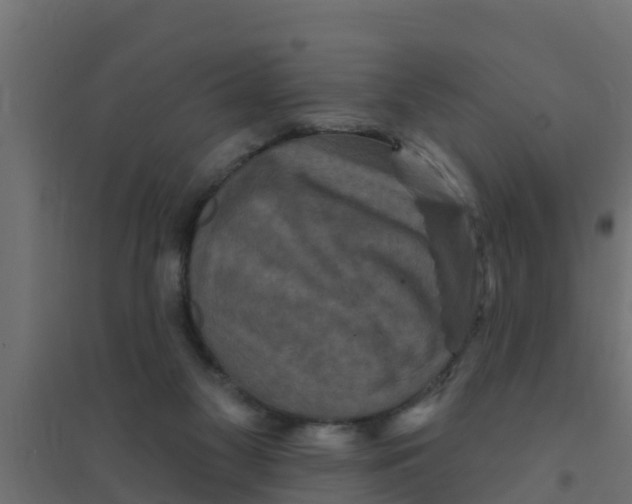 X0000094170117200711241539
