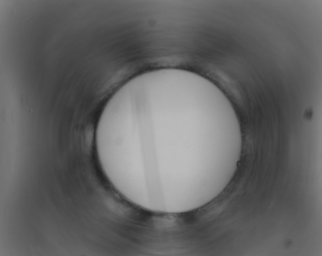 X0000094170118200711241539