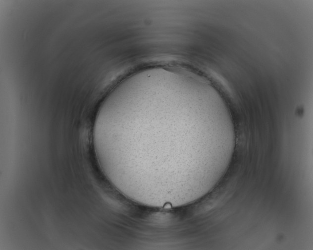 X0000094170119200711241539