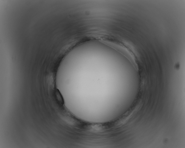 X0000094170121200711241539