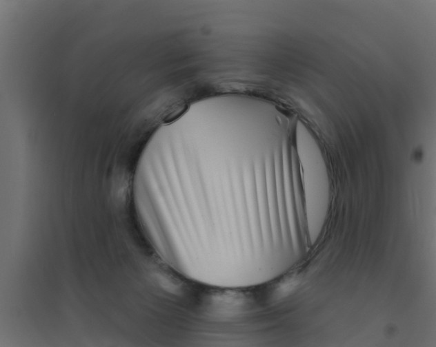 X0000094170125200711241539