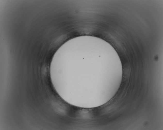 X0000094170126200711241539