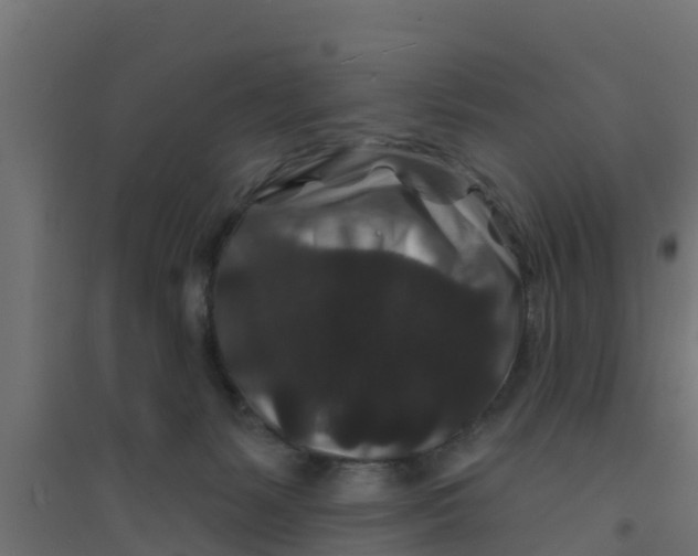 X0000094170127200711241539
