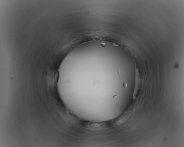 X0000094170129200711241539