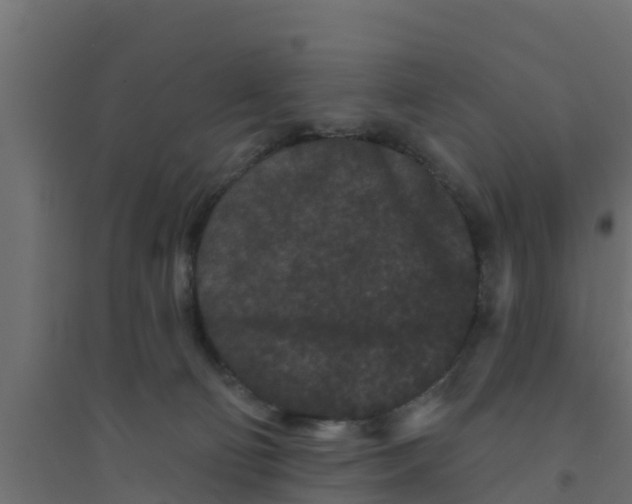 X0000094170130200711241539