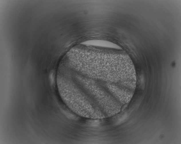 X0000094170131200711241539