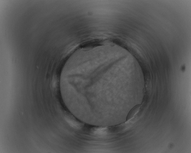 X0000094170132200711241539