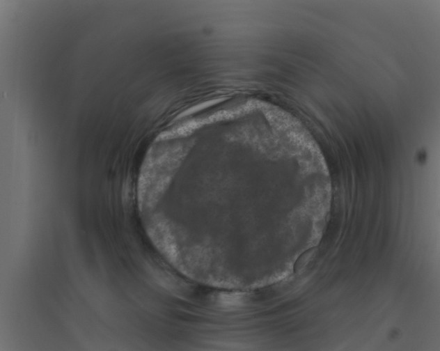 X0000094170134200711241539
