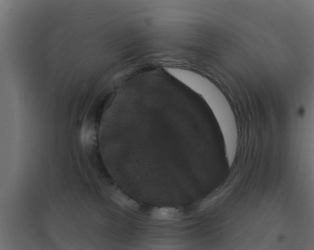 X0000094170137200711241539