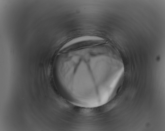 X0000094170139200711241539