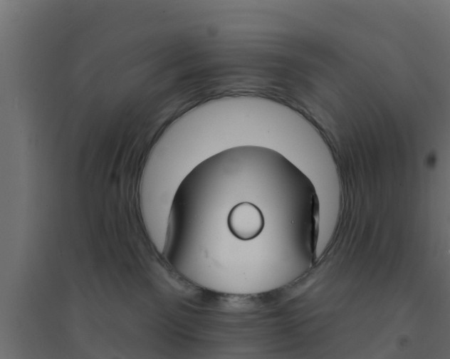 X0000094170141200711241538
