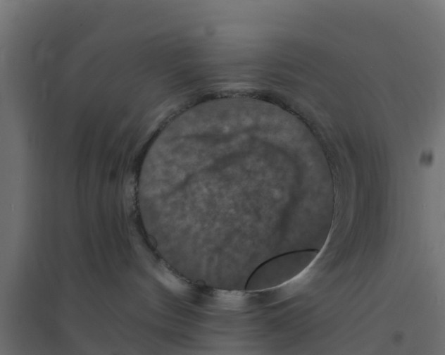 X0000094170144200711241538