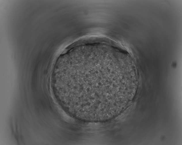 X0000094170145200711241538