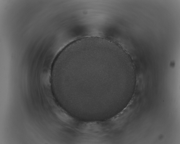 X0000094170146200711241538