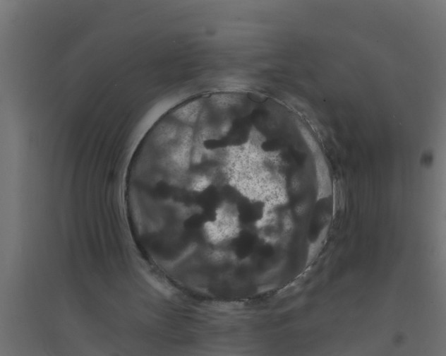 X0000094170147200711241538
