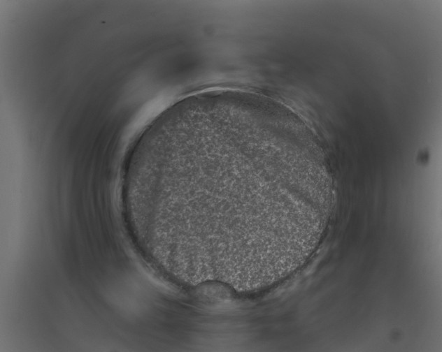 X0000094170149200711241538