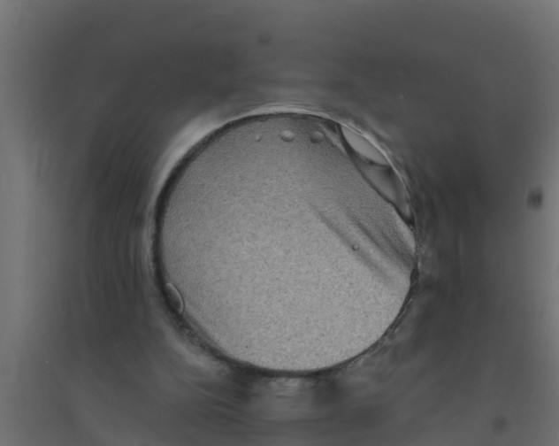 X0000094170152200711241538