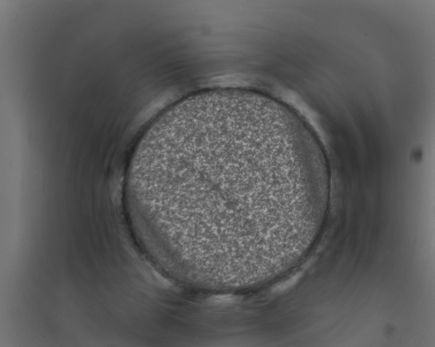 X0000094170153200711241538