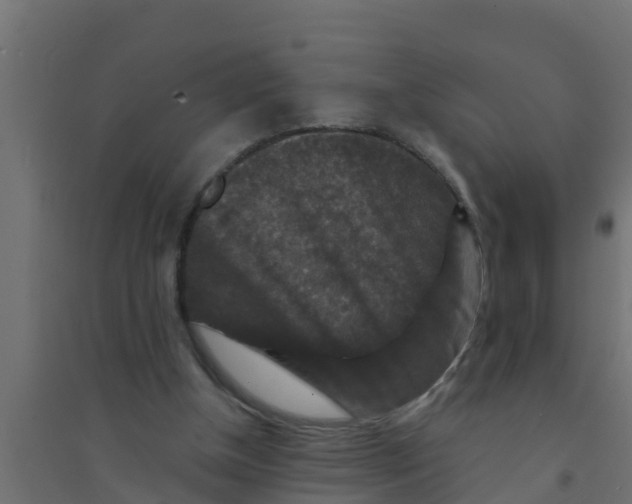 X0000094170154200711241538