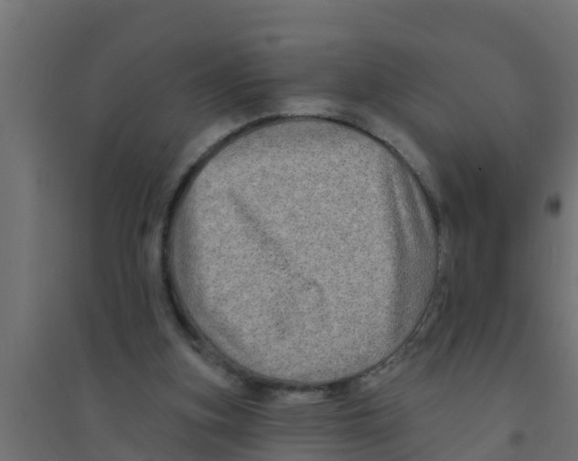 X0000094170155200711241538