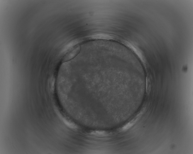 X0000094170157200711241538
